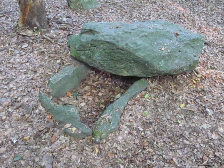 Bild von Wildgatter am Stadtwald Uelzen