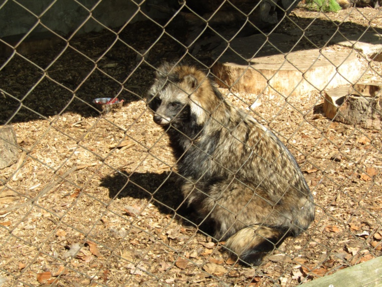 Bild von Wildgehege Moritzburg